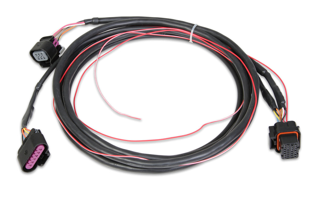 GM DRIVE-BY-WIRE HARNESS