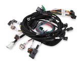 MAIN HARNESS, 99-04 FORD MODULAR