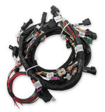 Ford Coyote Ti-VCT Harness Kit, includes Power Harness, Main Harness, Coil Drivers, and USCAR Injector Harness