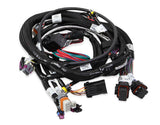 MAIN HARNESS, TERMINATOR TBI, LSX, 58X