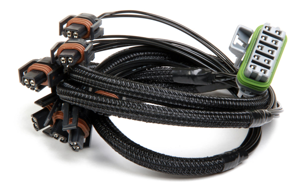 2 X 4 TBI INJ HARNESS