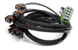 2 X 4 TBI INJ HARNESS