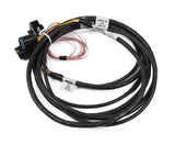 HEMI DBW HARNESS, LATE MOLEX