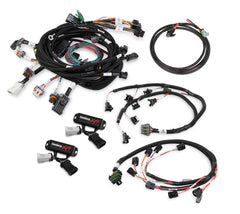 HARNESS KIT, FORD MODULAR 4V