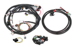 HARNESS KIT, UNIVERSAL FORD V8