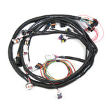 LS2 MAIN HARNESS (58x crank / 4x cam)